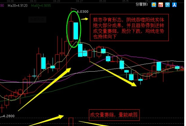 熊市孕育形是什么样的?