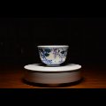 幽星人