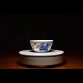 幽星人